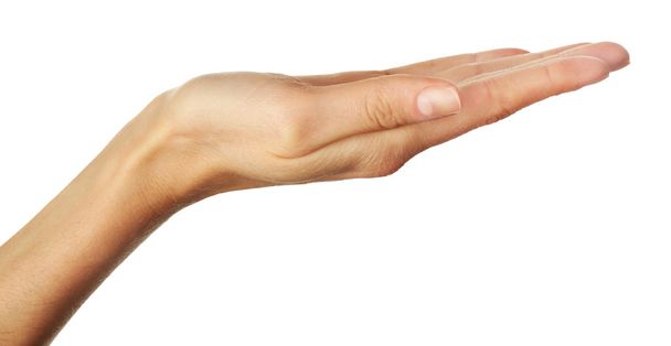 Human hands isolated - Фото, зображення