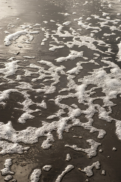 Polluted sea water on beach - Photo, Image