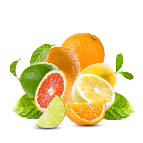 Set of Citrus Fruits - Foto, immagini