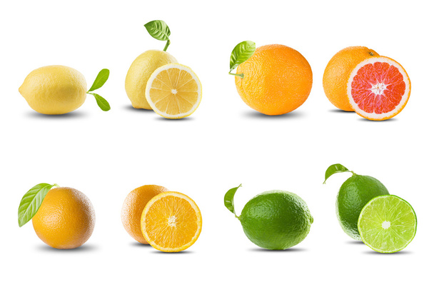 Set of Citrus Fruits - Фото, изображение
