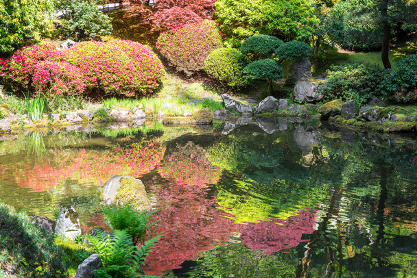 Vermelho e verde refletido em uma lagoa
 - Foto, Imagem