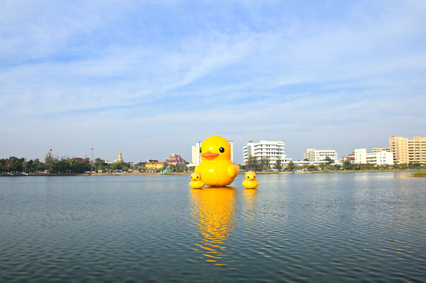 die gelben Enten ist die beliebteste Ansicht für Fotos. - Foto, Bild