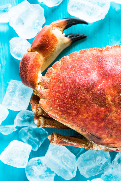 close view on fresh whole crab - Foto, imagen