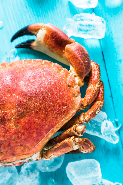 vue rapprochée sur le crabe frais
 - Photo, image