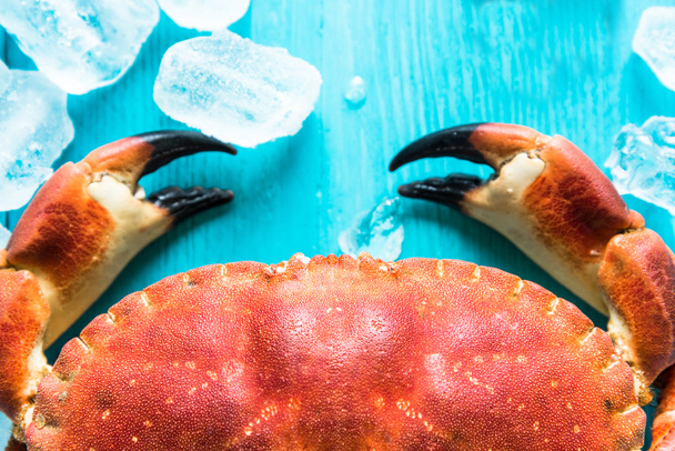 Blick auf frische Krabbenklaven auf Eiswürfeln - Foto, Bild