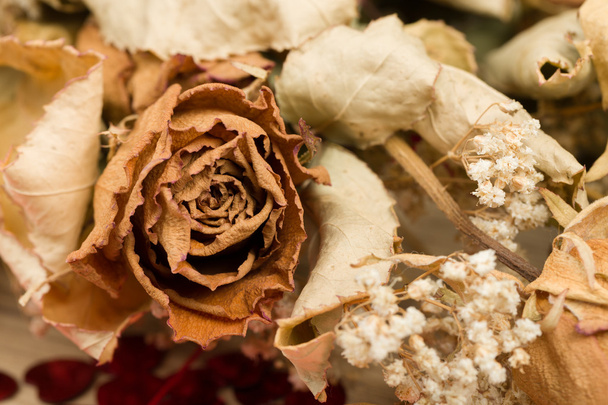 szárított levelek Rózsa csokor - Fotó, kép