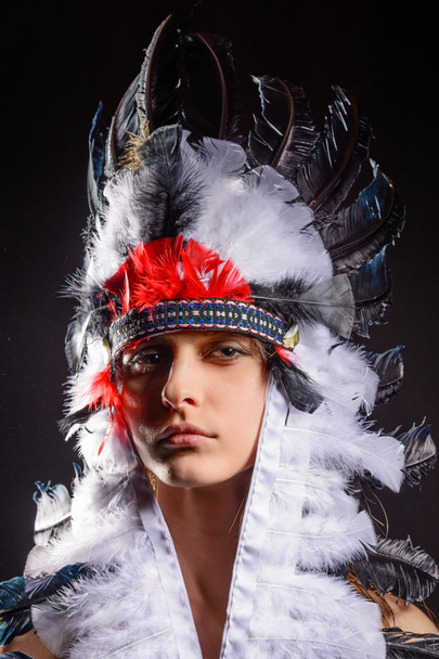 Beautiful young native American Indian woman - Photo, Image