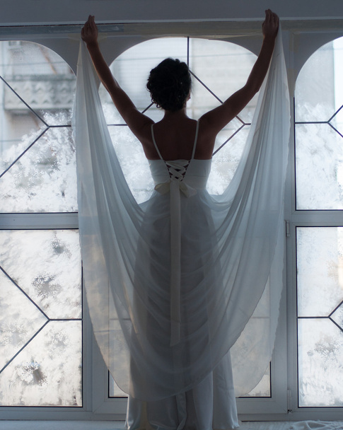 bride in studio - Fotografie, Obrázek