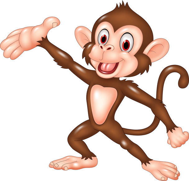 Sarjakuva hauska apina esittää eristetty valkoisella taustalla
 - Vektori, kuva
