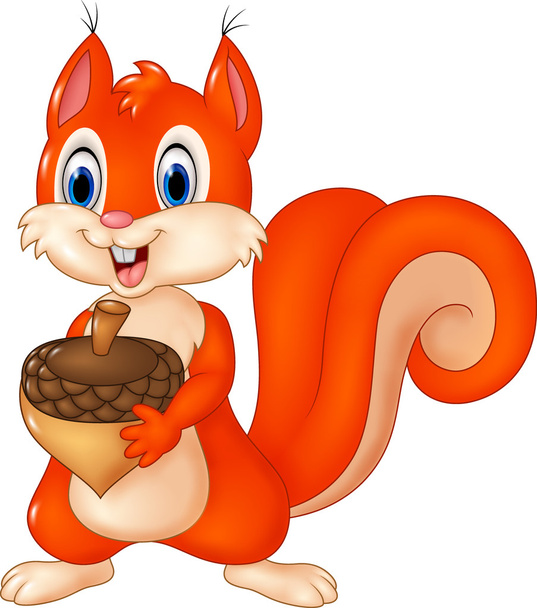 Cartoon funny squirrel holding acorn isolated on white background - Vector, Image