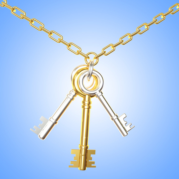 keys on key ring - 写真・画像