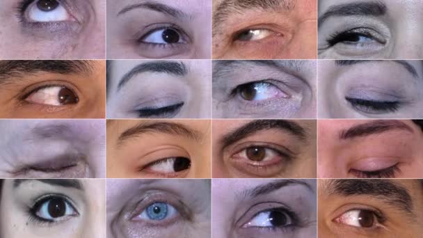 Barevné jiný druh oči - Záběry, video
