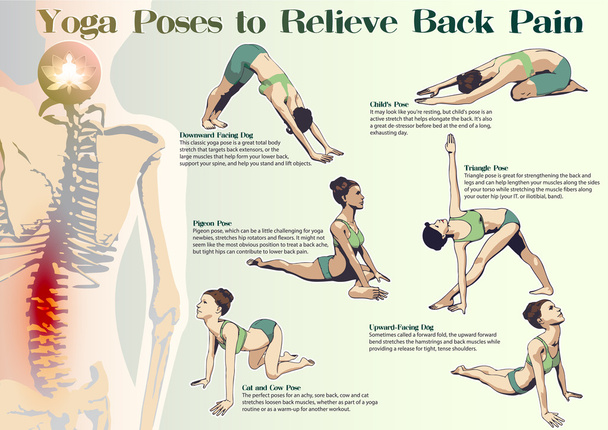 Yoga lindert Rückenschmerzen - Vektor, Bild