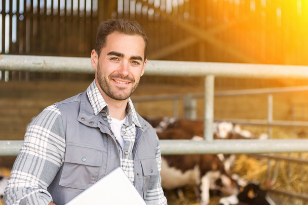 Portrait of a Young attractive veterinary in a pasture with cows - Foto, imagen