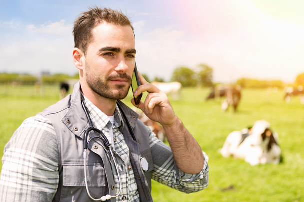 Portrait of a Young attractive veterinary in a pasture with cows - Fotó, kép