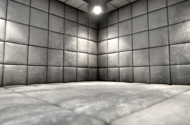 Padded Cell Dirty - Photo, Image