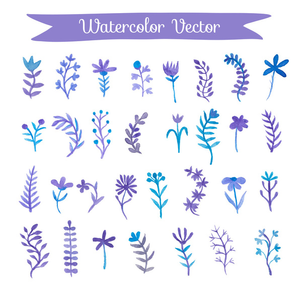 watercolor floral set - Вектор,изображение