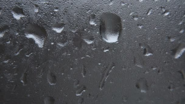 Rain, Large rain drops strike a window during a shower - Πλάνα, βίντεο