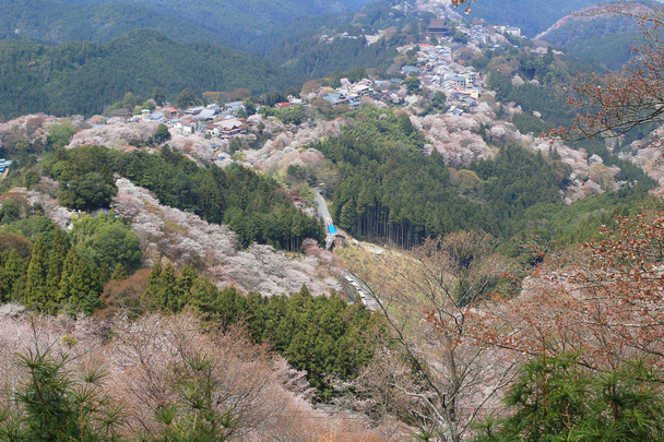 奈良県吉野水分神社の吉野山 - 写真・画像