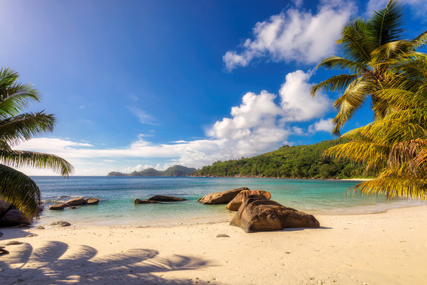 Raj plaży na tropikalnej wyspie Mahe na Seszelach - Zdjęcie, obraz