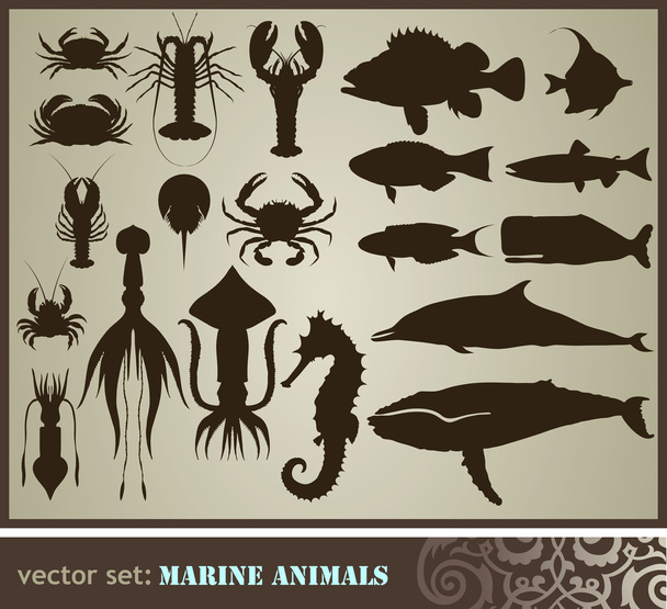 Marine animals - Vektör, Görsel