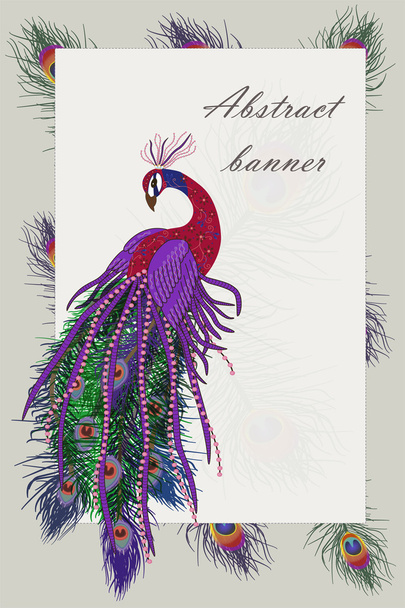 Background with peacock and feathers. - Vector, Image