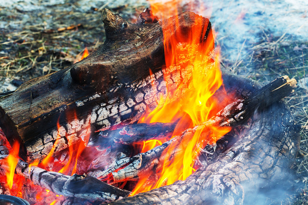 Close-up of campfire in evening - Foto, Bild