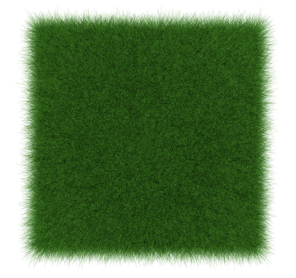 Grass background - Foto, Imagem