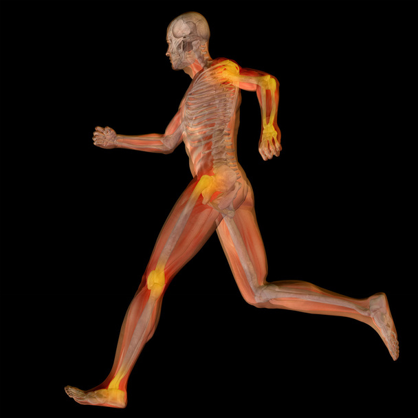 conceptuele man anatomie - Foto, afbeelding