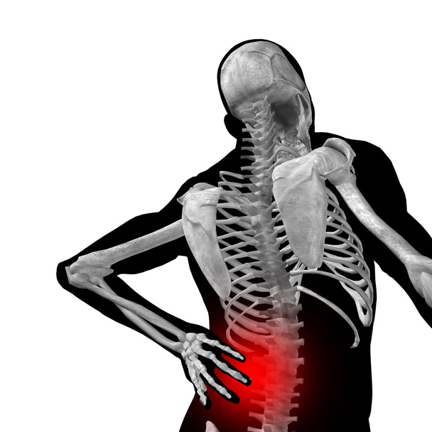 man anatomy with back pain - Photo, Image