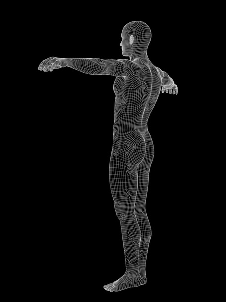 İnsan veya erkek anatomisi - Fotoğraf, Görsel