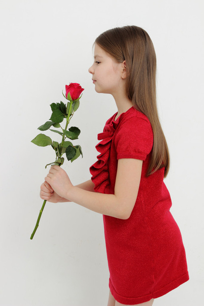 Young girl and red roses - Valokuva, kuva