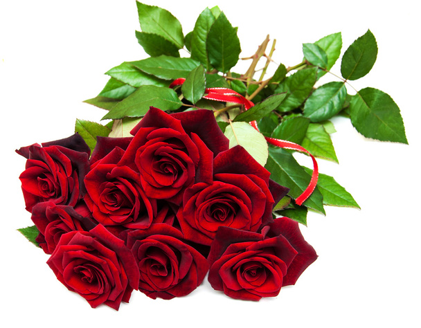 Tuoreet punaiset ruusut - Valokuva, kuva