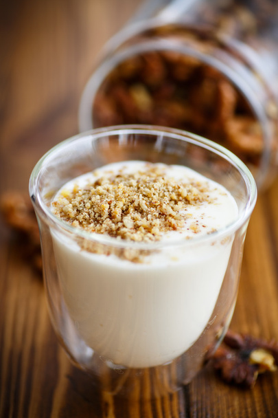 Natural fresh yogurt with nuts - Fotografie, Obrázek