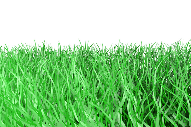 gras lijn - Foto, afbeelding