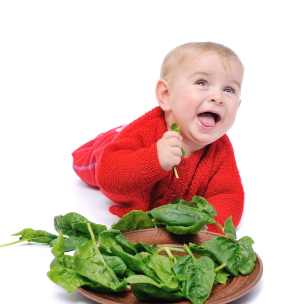μελέτες σπανάκι μωρό - Φωτογραφία, εικόνα