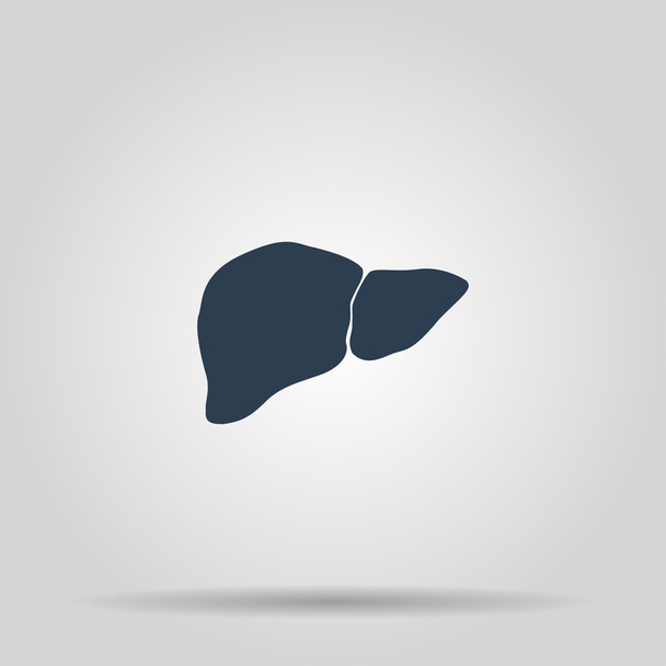 Vector flat liver icon - Vetor, Imagem