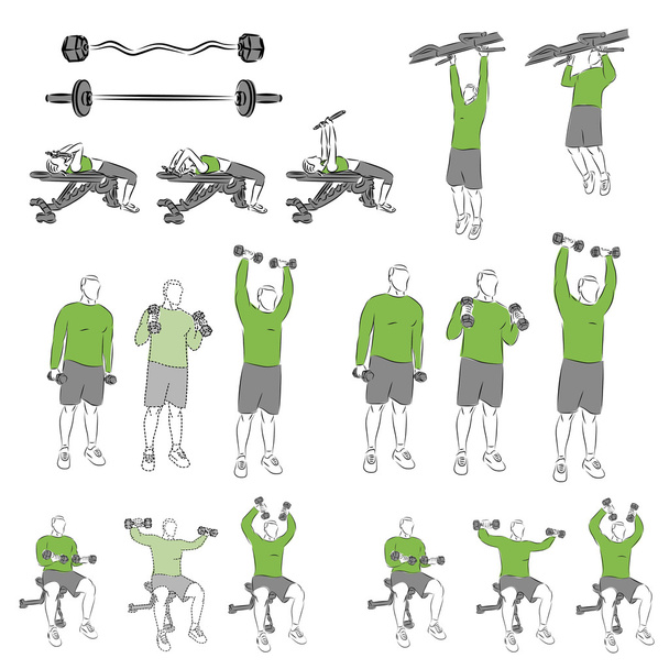 Ensemble d'exercices systématiques de musculation
 - Vecteur, image