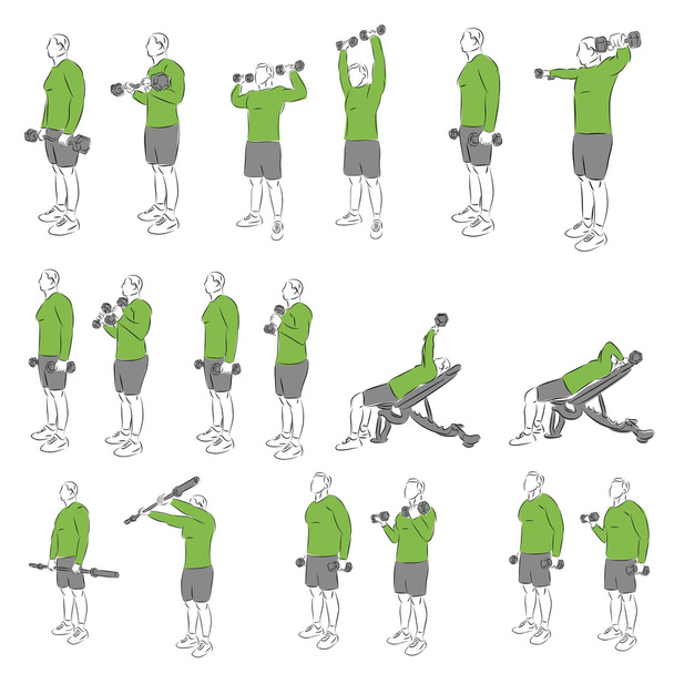 Conjunto de exercícios de musculação sistemática
 - Vetor, Imagem