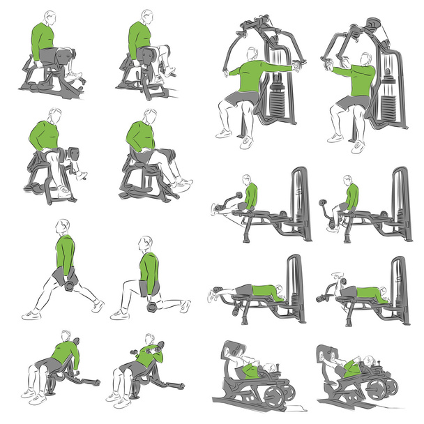 Set of systematic bodybuilding exercises - Vector, Image
