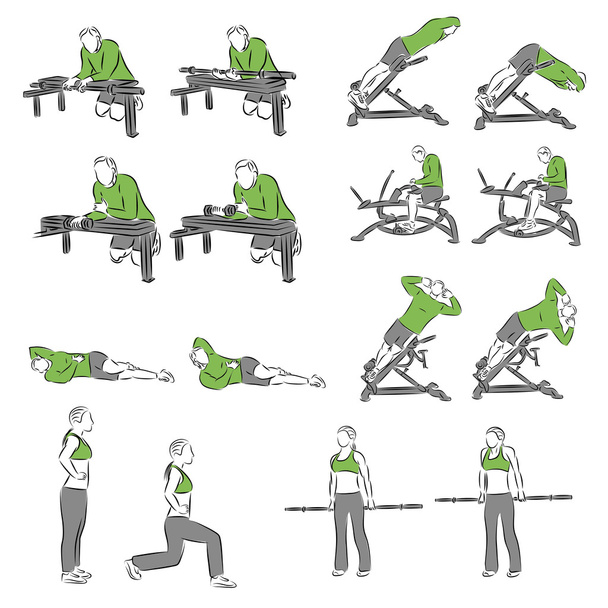 Ensemble d'exercices systématiques de musculation
 - Vecteur, image