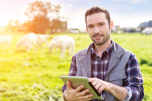 Young attractive farmer in a field with cows - Photo, Image