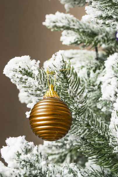 Christmas tree branches - Фото, изображение