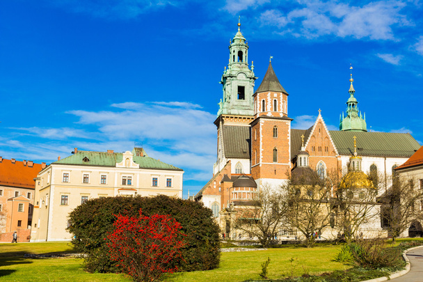 ポーランドのクラクフにあるWawel大聖堂. - 写真・画像