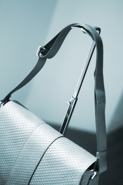 Leather handbag in store display - Photo, Image