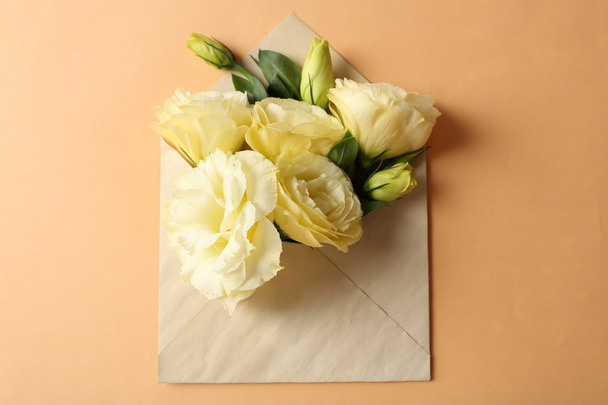White eustoma in envelope on beige background - Fotografie, Obrázek
