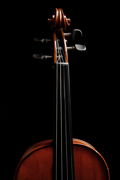 Violin neck on dark - Фото, зображення