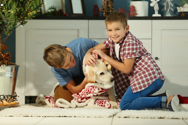 Cheerful boys are playing with dog  - Foto, imagen