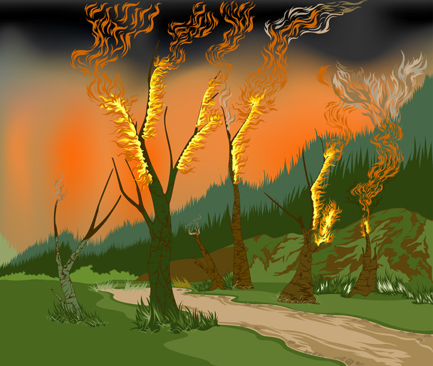 Incendio forestale
 - Vettoriali, immagini