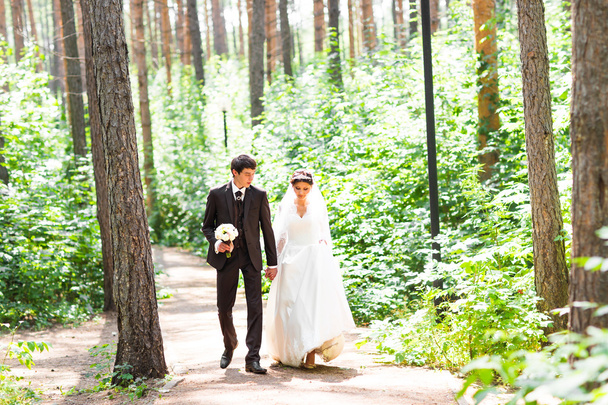 glückliche Braut und Bräutigam beim Spaziergang im sommerlichen Wald. junges Hochzeitspaar. - Foto, Bild